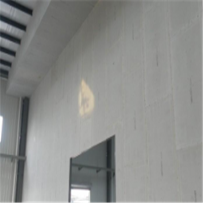 新泰新型建筑材料掺多种工业废渣的ALC|ACC|FPS模块板材轻质隔墙板